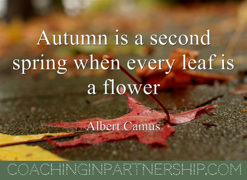 Autumn Moments | Coaching in Partnership